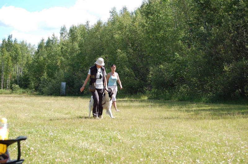 2010 008.jpg
